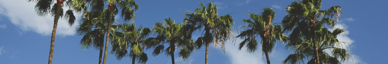 SHARE Orlando: The Magic Behind Mainframe Education