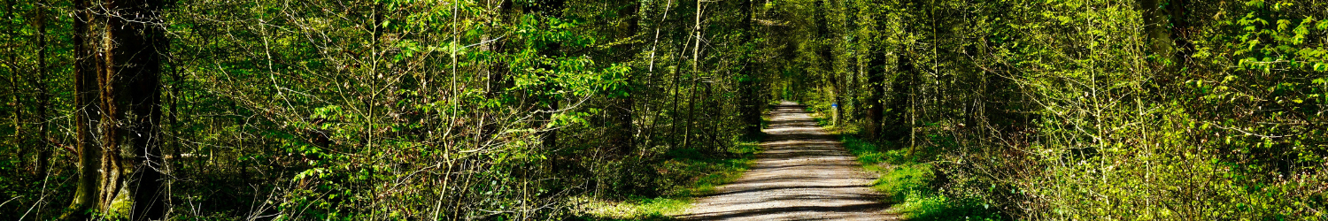 Mid-Career Momentum: Building More Than Code on the Mainframe